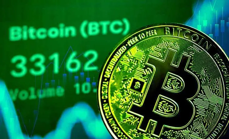 WhatsApp Bot - Harness the Potential of Automated Crypto Trading
Explore the Innovative WhatsApp Bot Platform